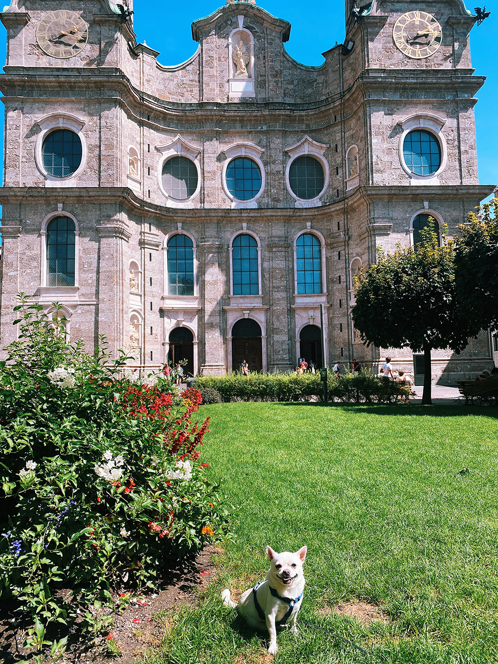 Innsbruck cesare
