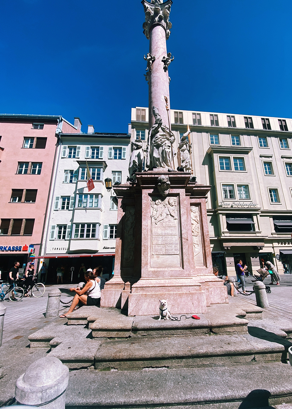 Cesare, cane, davanti alla colonna di S. Maria in Maria-Theresien-Strasse a Innsbruck