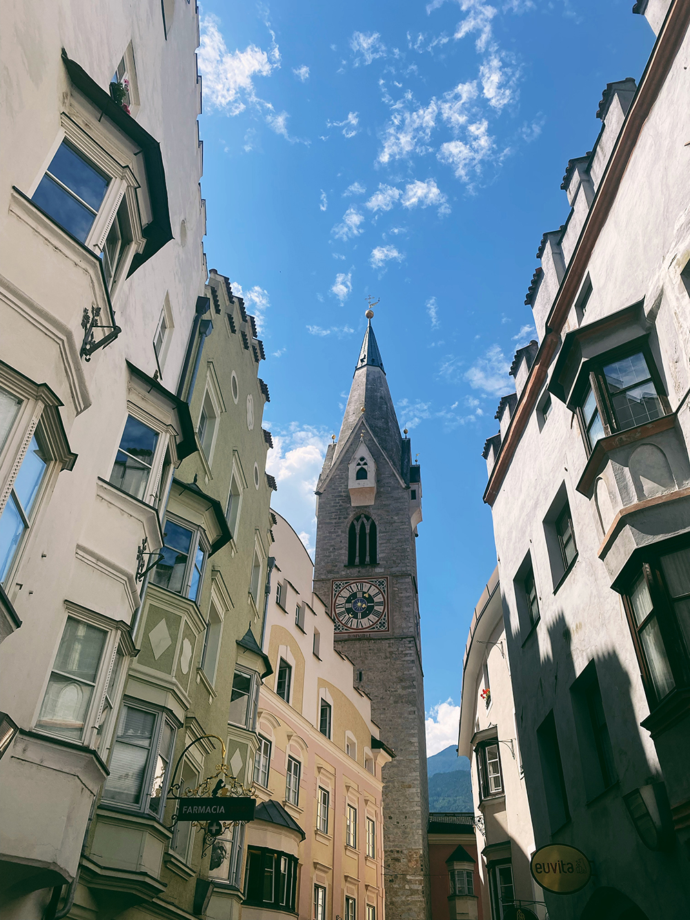 Cesare Cane chihuahua Bressanone