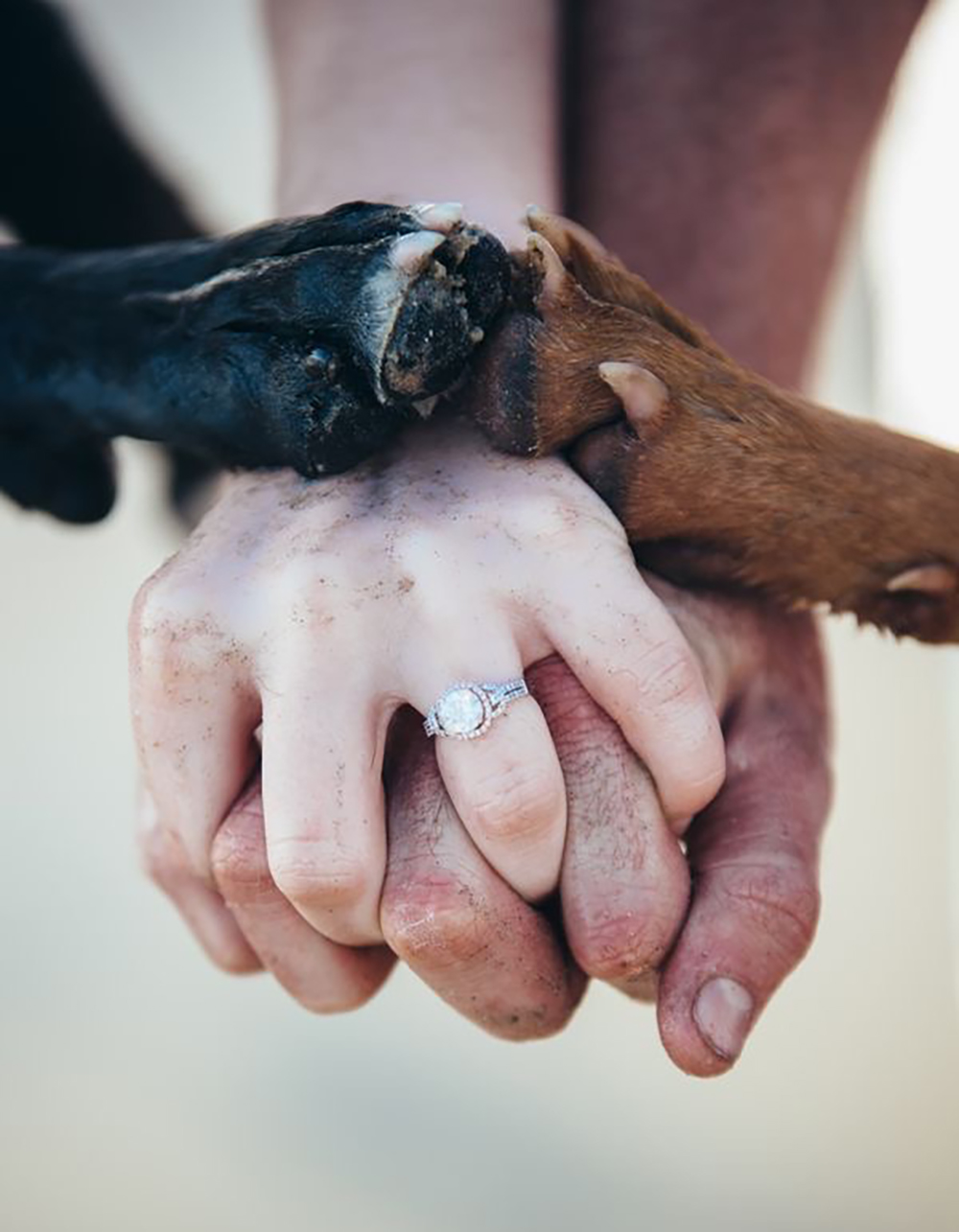 foto di matrimonio con mani e zampe del cane