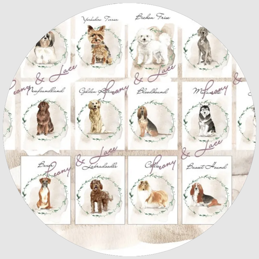 idee cane matrimonio