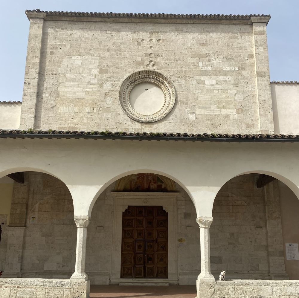 cane chihuahua nel chiostro della chiesa dell'Annunziata ad Ascoli Piceno