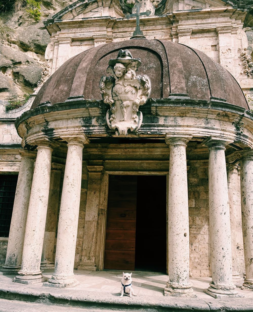 cane chihuahua davanti al tempietto di San Emidio ad Ascoli Piceno