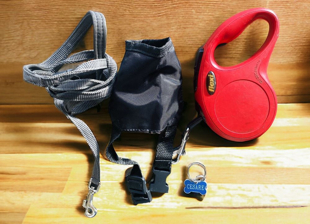 guinzagli e museruola per cani di piccola taglia