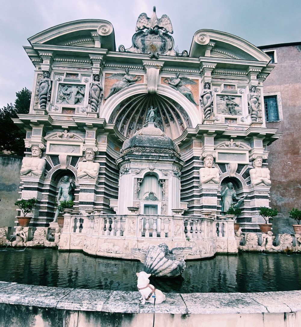 cane chihuahua seduto sul bordo della vasca della fontana dell'organo a villa d'Este, Tivoli