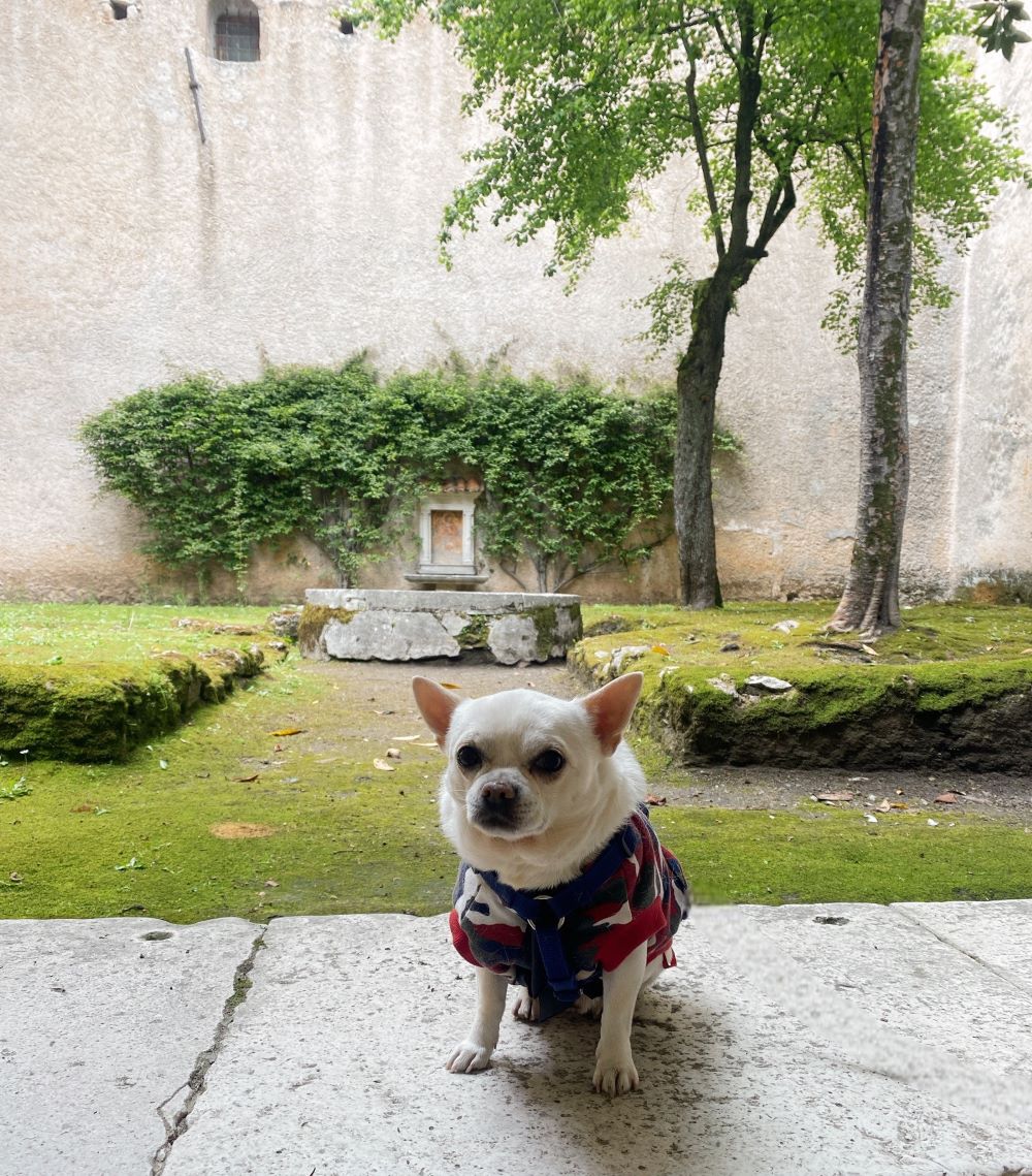 cesare in un giardino della Certosa di Padula