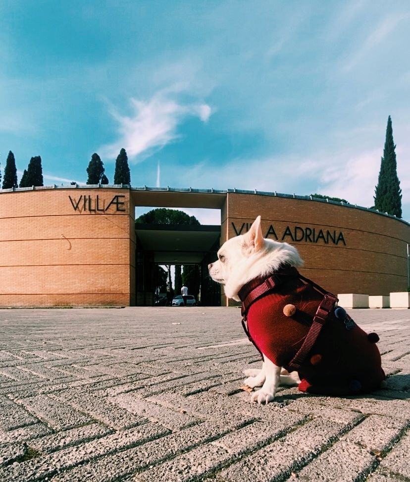 Cesare davanti all'entrata di Villa Adriana