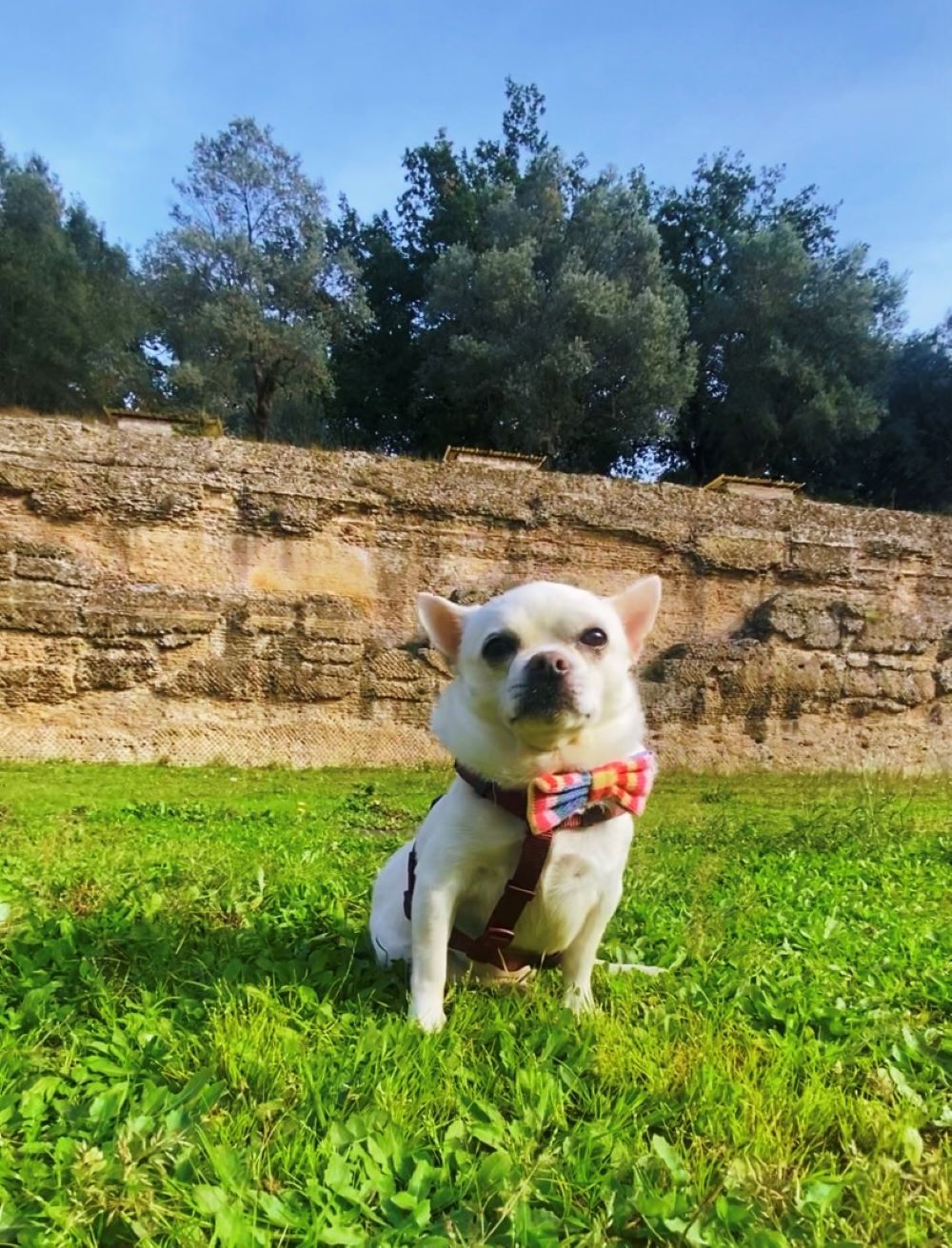 Cesare alle terme di Villa Adriana